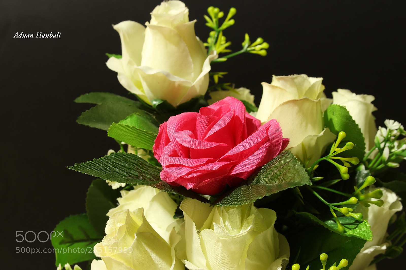Canon EOS 700D (EOS Rebel T5i / EOS Kiss X7i) sample photo. Img photography