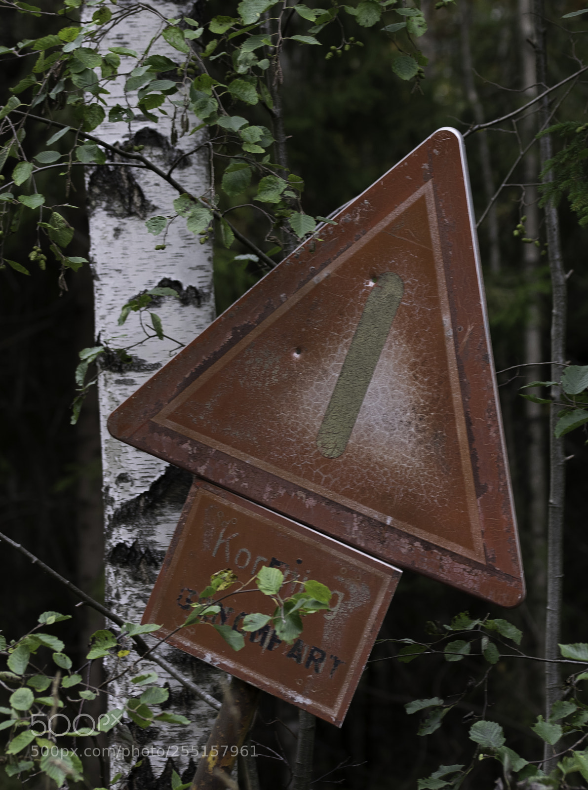 Nikon D5300 sample photo. Abandoned and junk photography