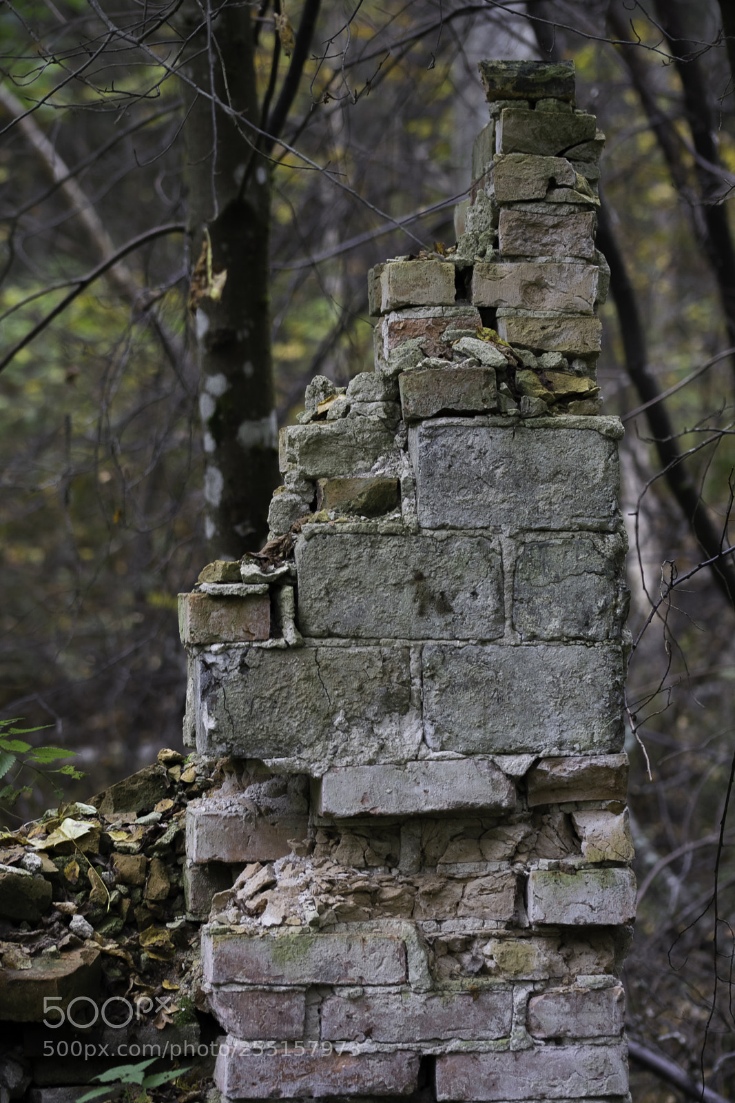 Nikon D5300 sample photo. Abandoned and junk photography