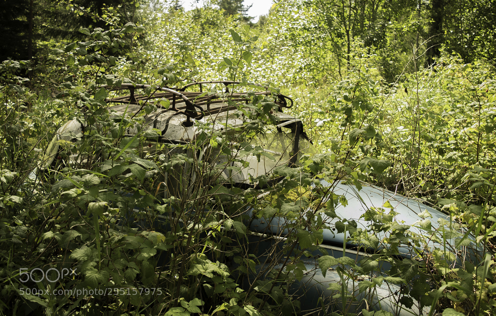 Nikon D5300 sample photo. Abandoned and junk photography