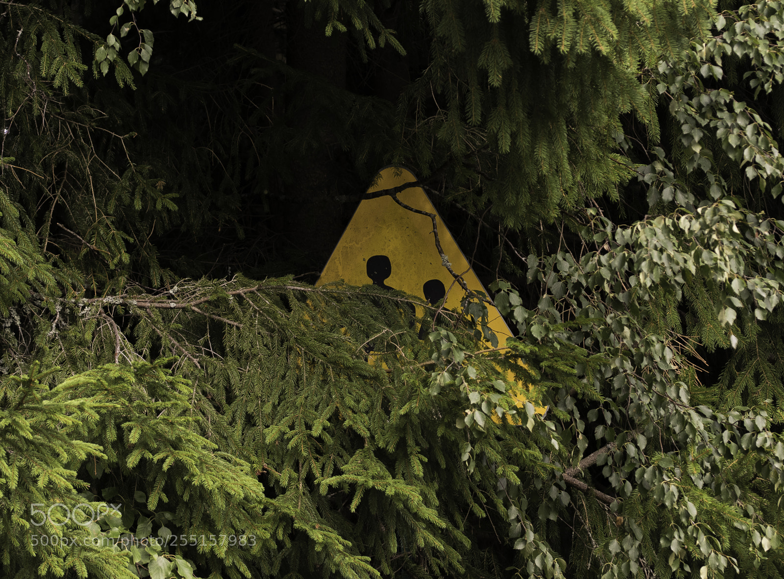 Nikon D5300 sample photo. Abandoned and junk photography