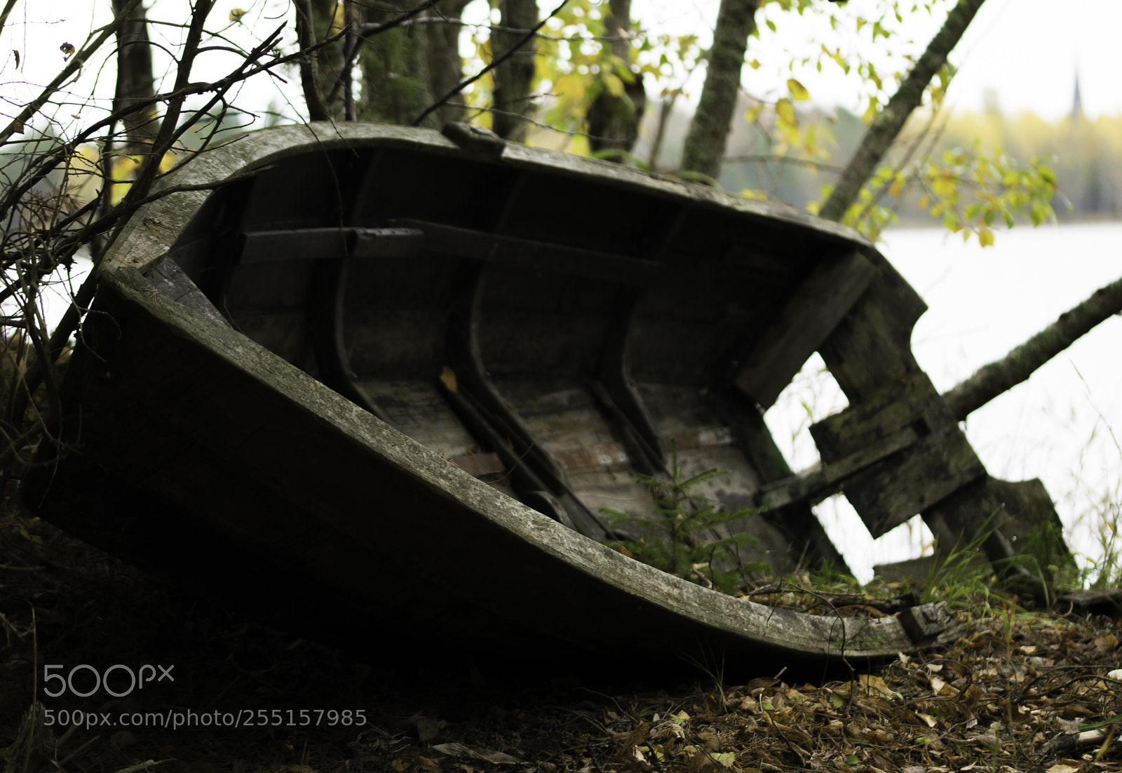 Nikon D5300 sample photo. Abandoned and junk photography