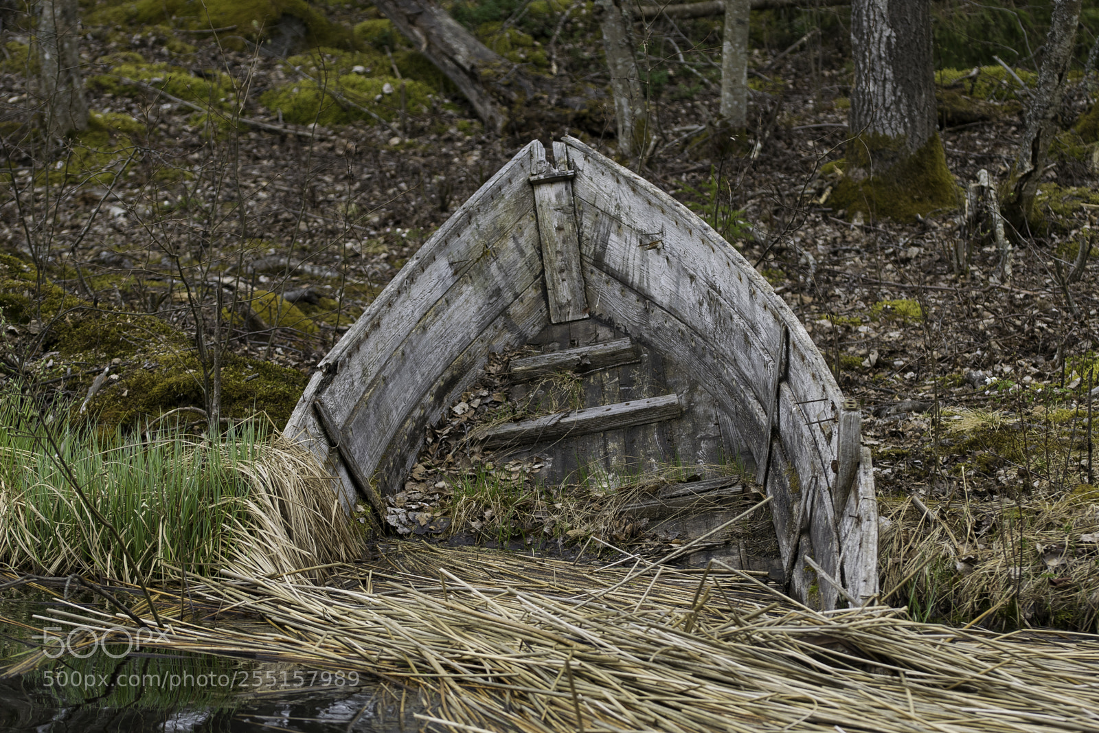 Nikon D5300 sample photo. Abandoned and junk photography