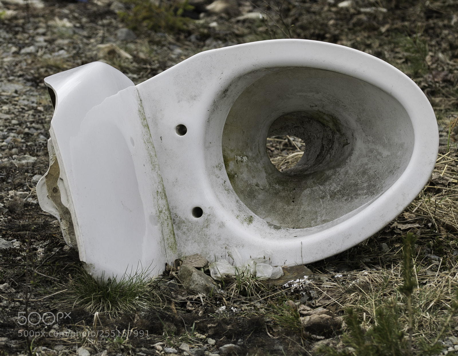 Nikon D5300 sample photo. Abandoned and junk photography
