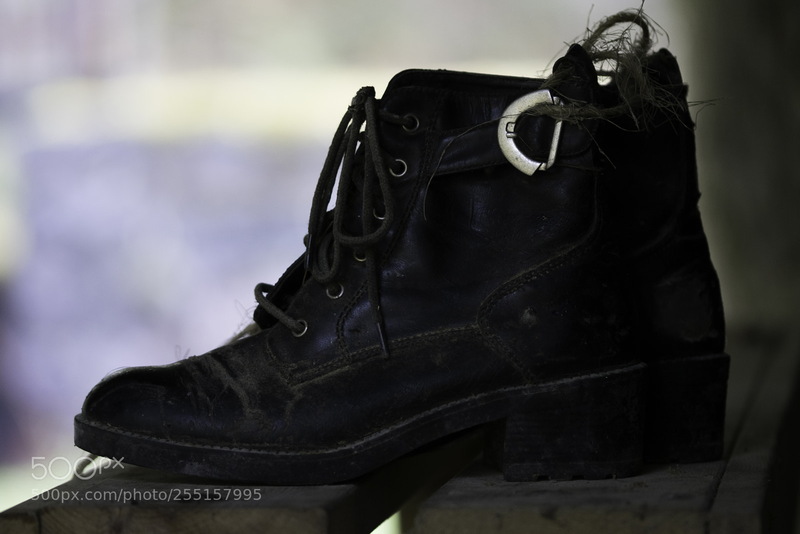 Nikon D5300 sample photo. Abandoned and junk photography