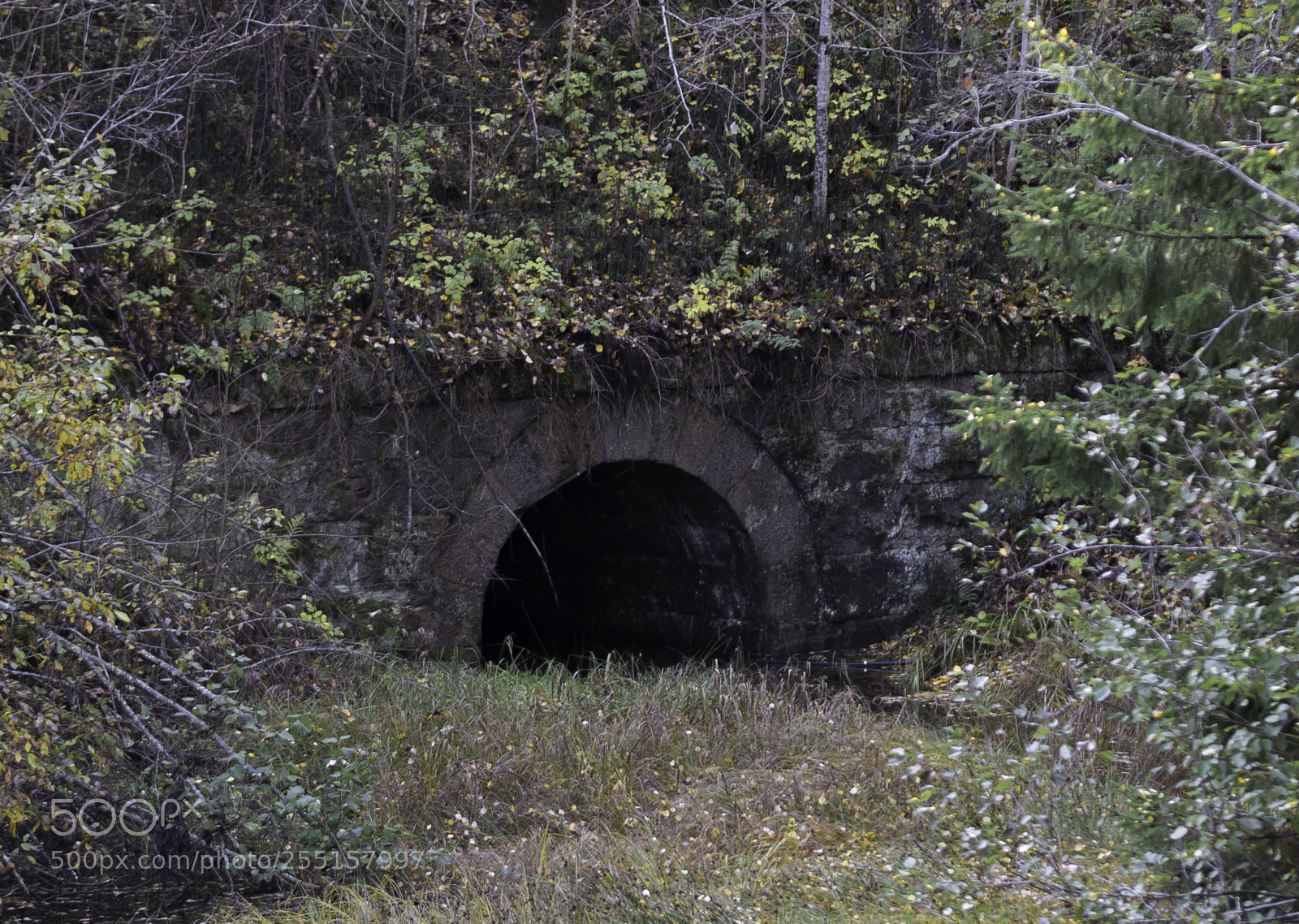 Nikon D5300 sample photo. Abandoned and junk photography