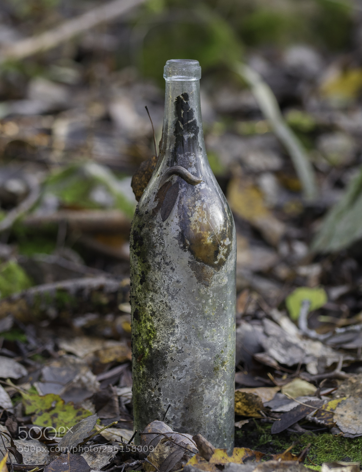 Nikon D5300 sample photo. Abandoned and junk photography