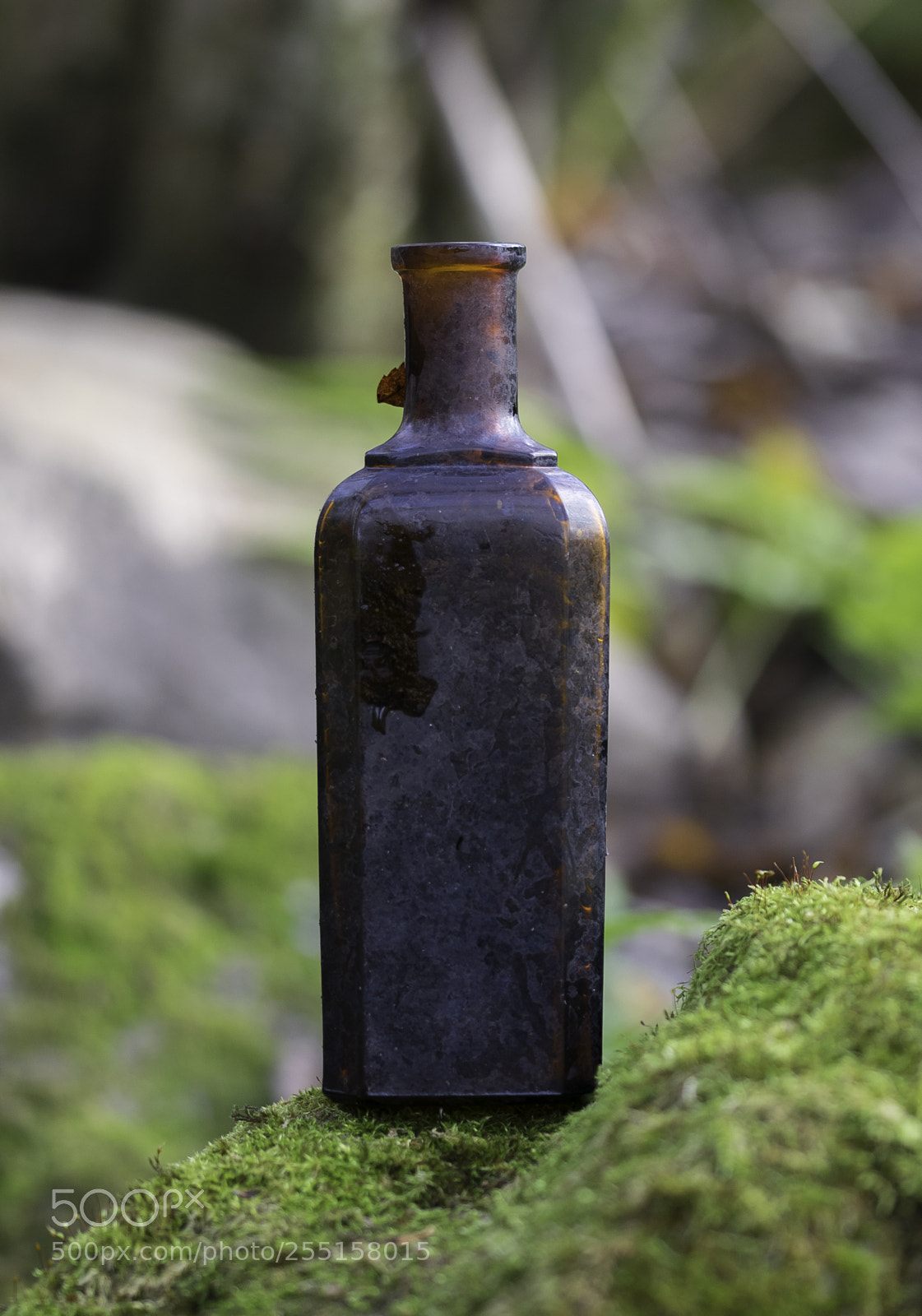 Nikon D5300 sample photo. Abandoned and junk photography