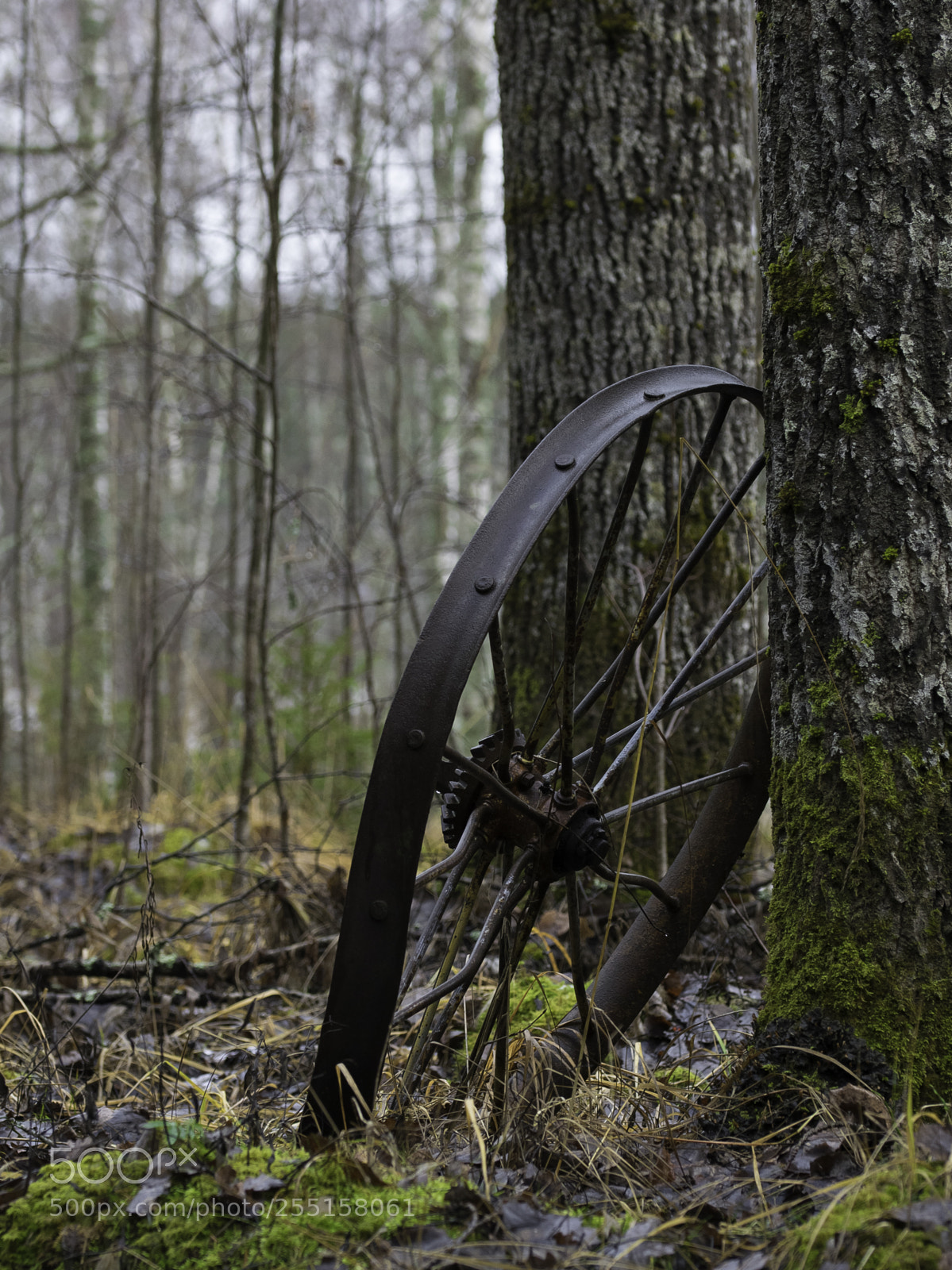 Nikon D5300 sample photo. Abandoned and junk photography