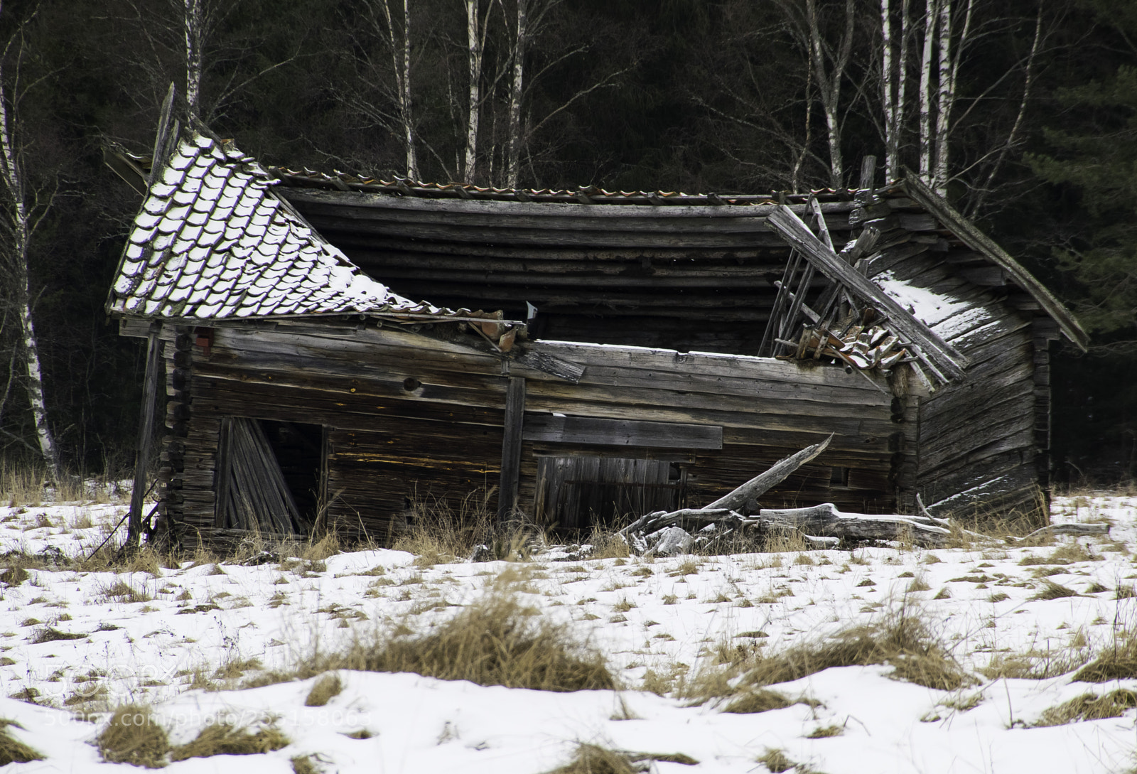 Nikon D5300 sample photo. Abandoned and junk photography