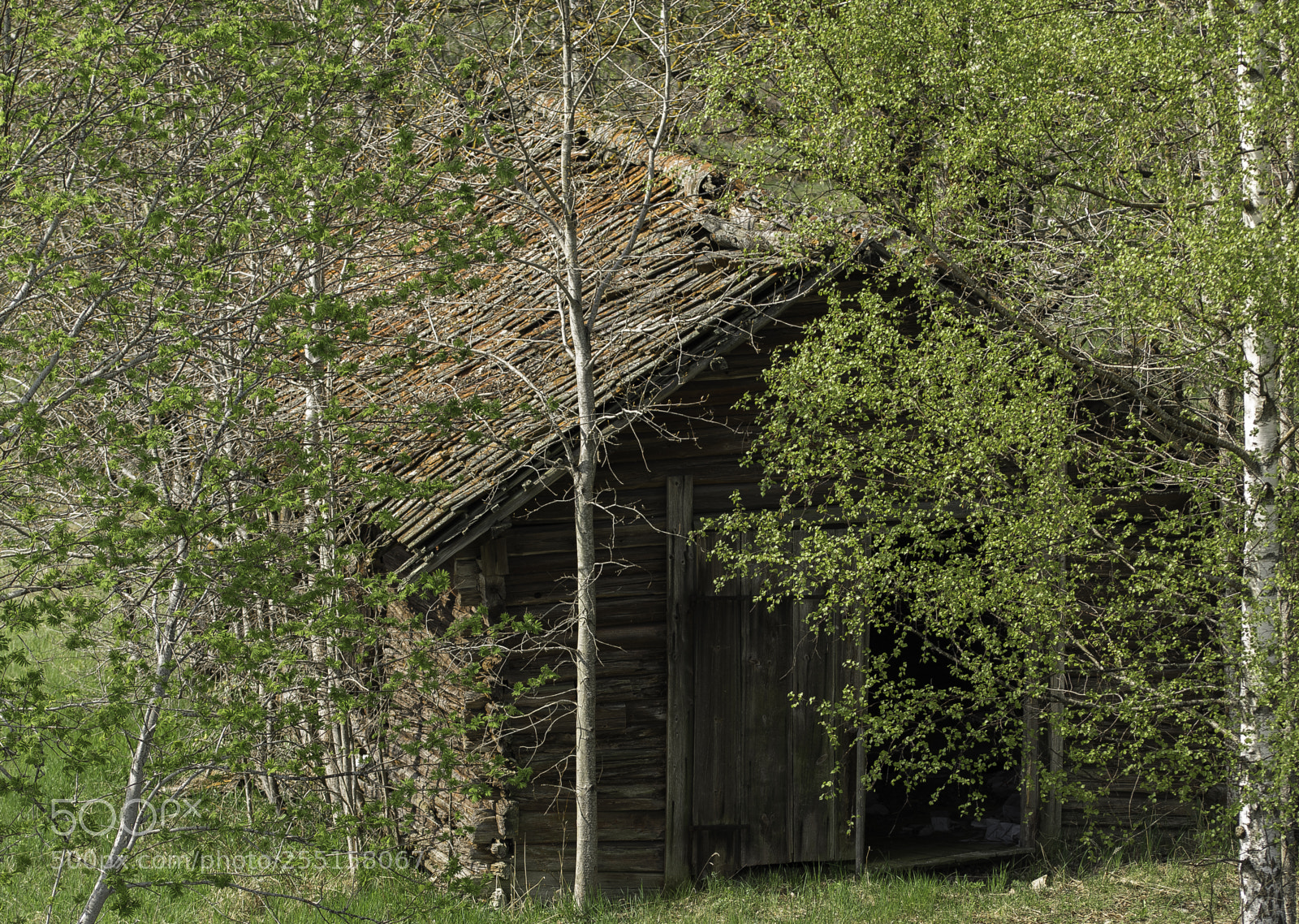 Nikon D5300 sample photo. Abandoned and junk photography