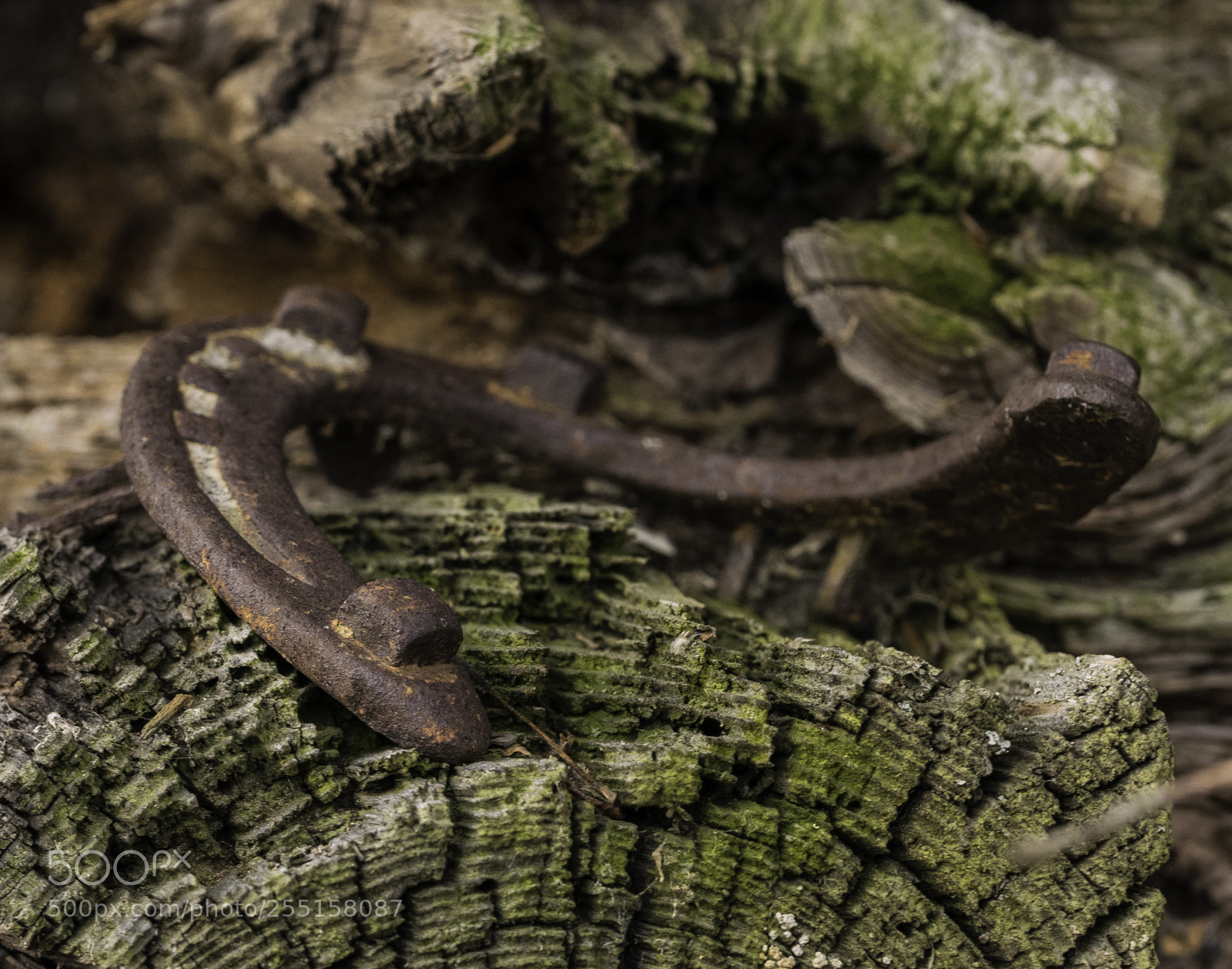 Nikon D5300 sample photo. Abandoned and junk photography
