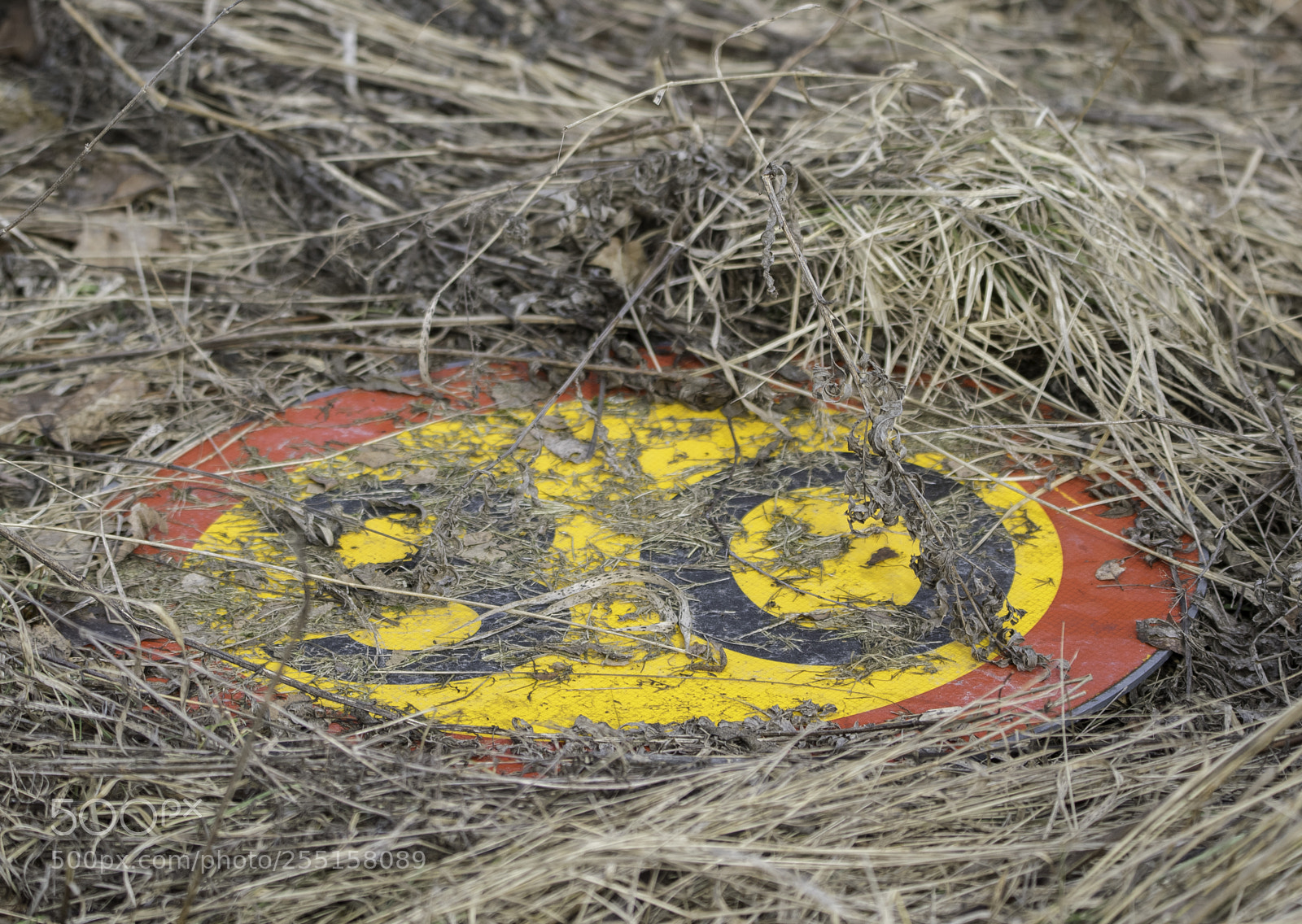 Nikon D5300 sample photo. Abandoned and junk photography