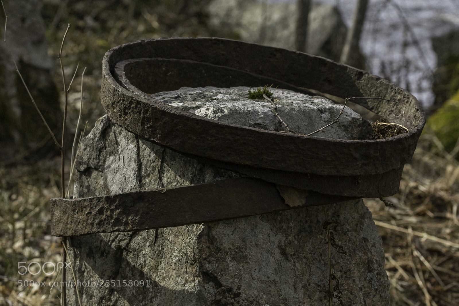 Nikon D5300 sample photo. Abandoned and junk photography