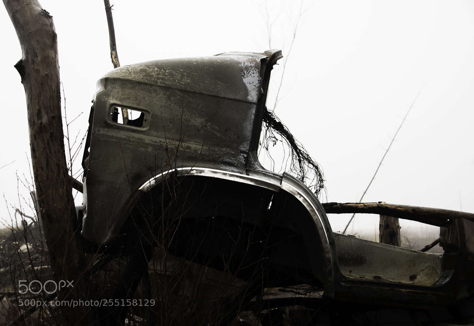 Nikon D5300 sample photo. Abandoned and junk photography