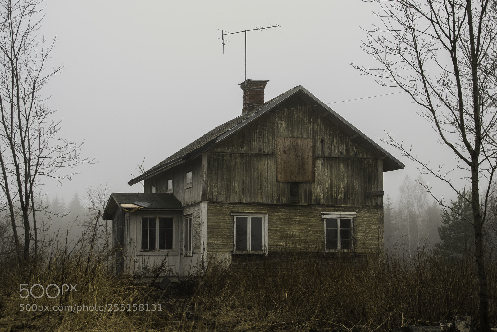 Nikon D5300 sample photo. Abandoned and junk photography