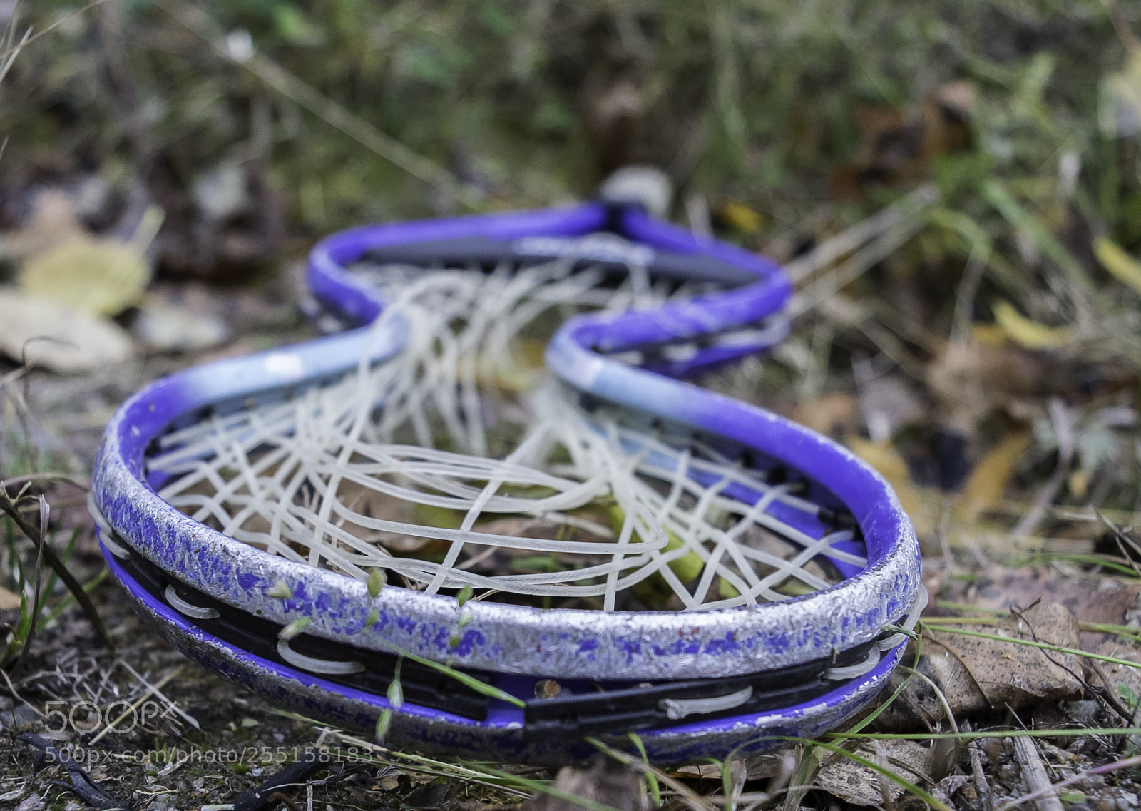 Nikon D5300 sample photo. Abandoned and junk photography
