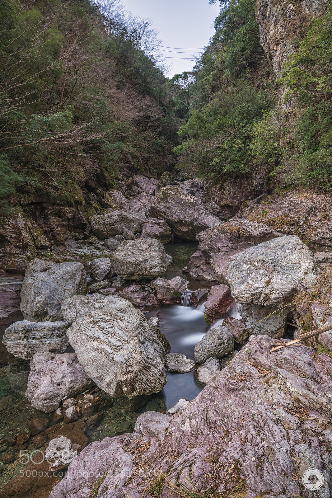Sony a7R III sample photo. 压缩输出 dsc photography