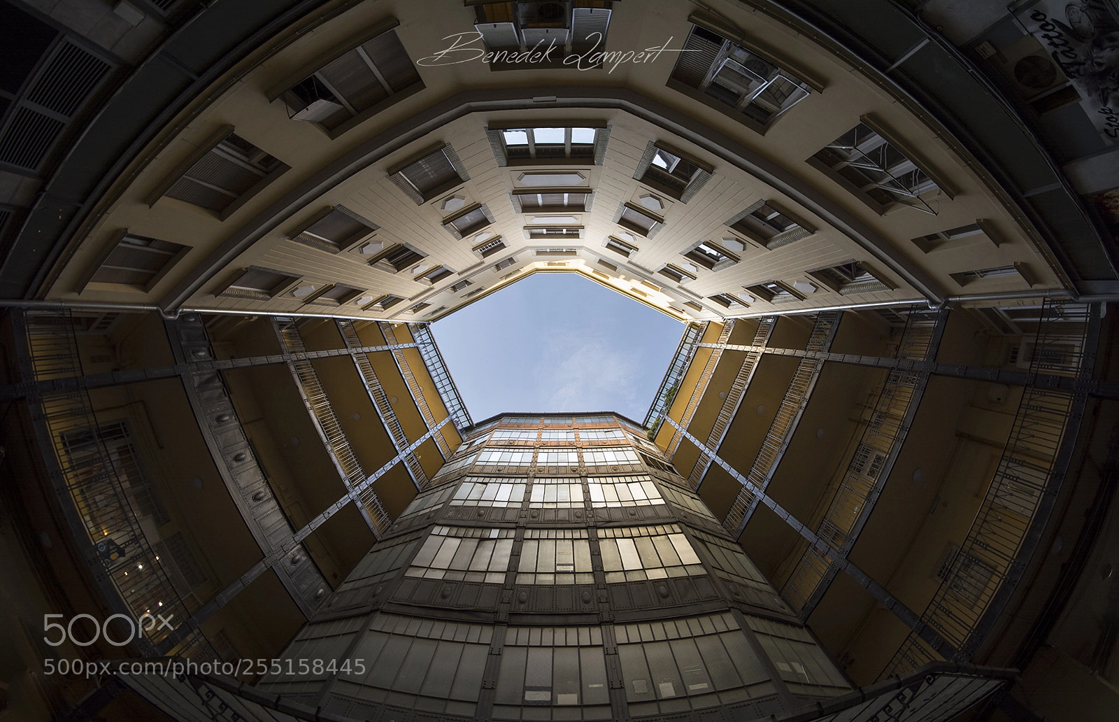 Nikon D7100 sample photo. Look up! photography