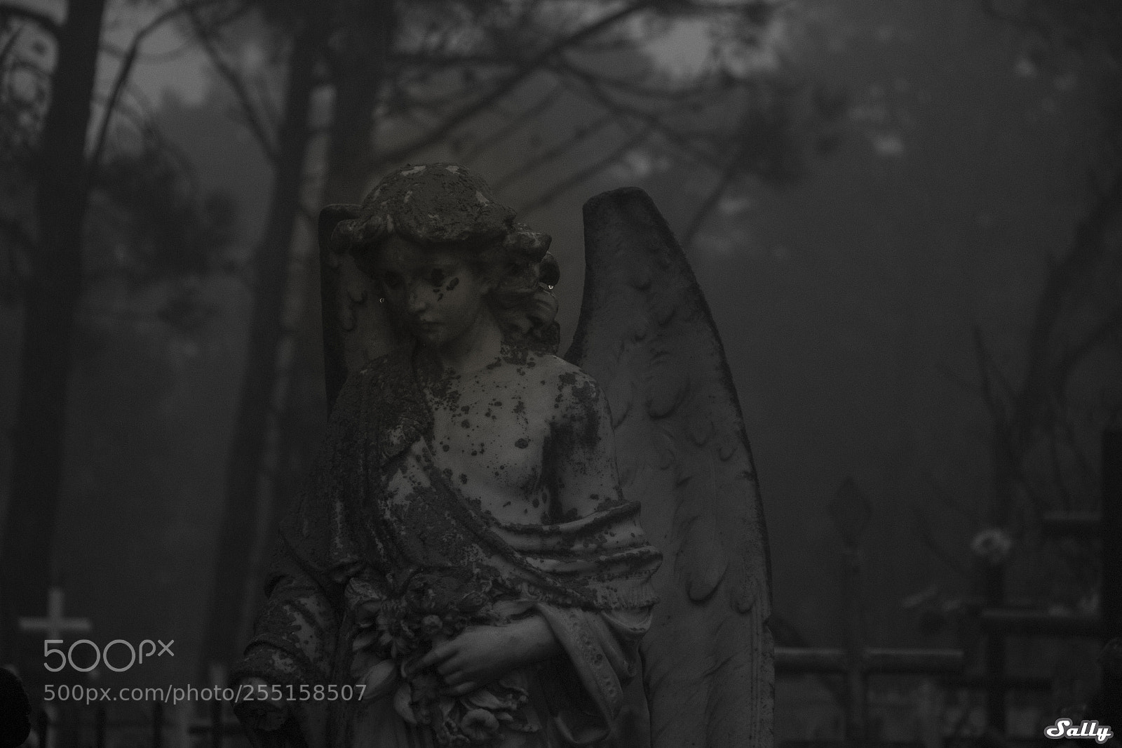 Canon EOS 650D (EOS Rebel T4i / EOS Kiss X6i) sample photo. Angel #sallysvision photography