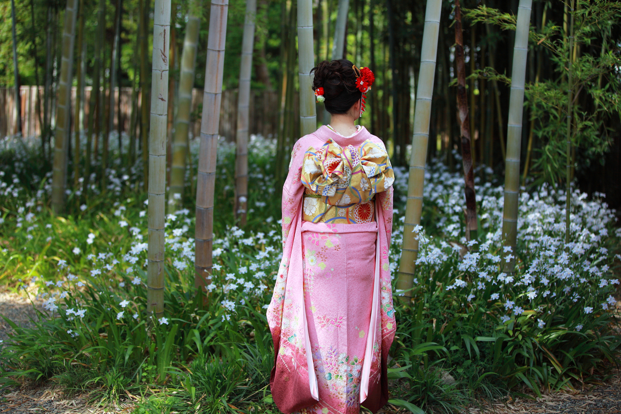 Canon EF 70-200mm F2.8L IS II USM sample photo. Img photography