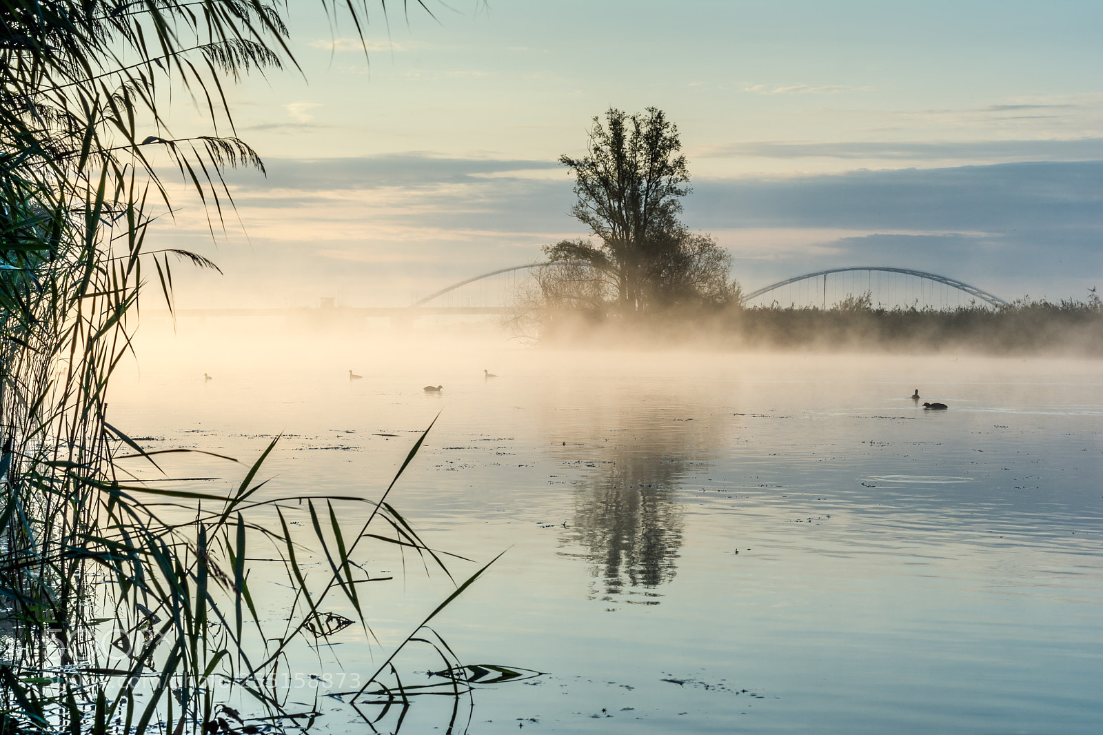 Nikon D7100 sample photo. Avelingen gorinchem photography
