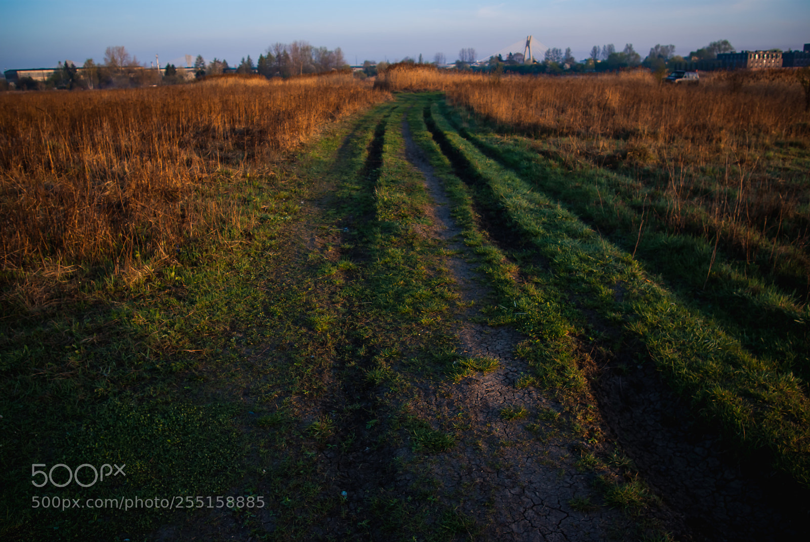Pentax K10D sample photo. Road photography