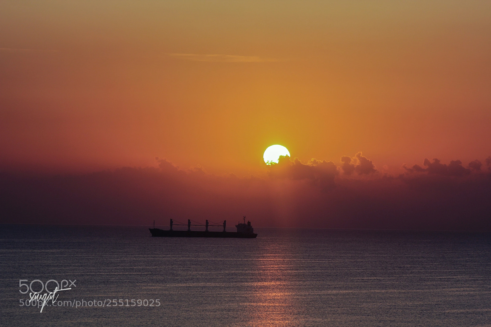 Canon EOS 60D sample photo. The morning sun. photography