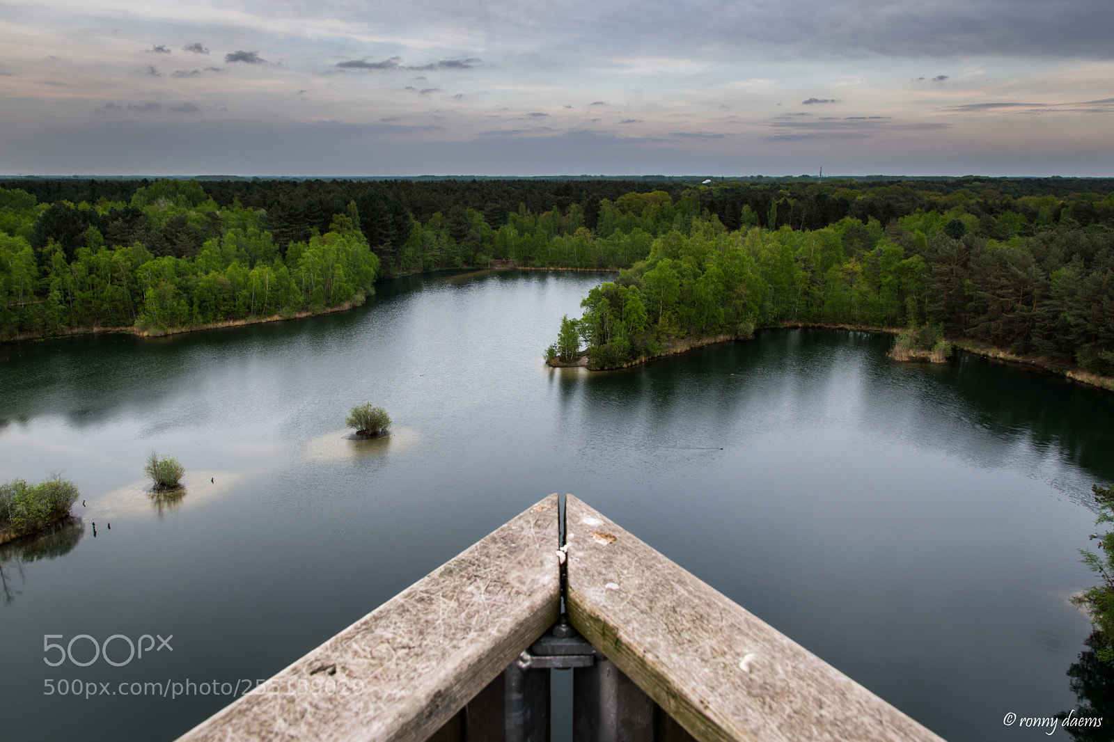 Nikon D5300 sample photo. Lommel, lommelse sahara. photography