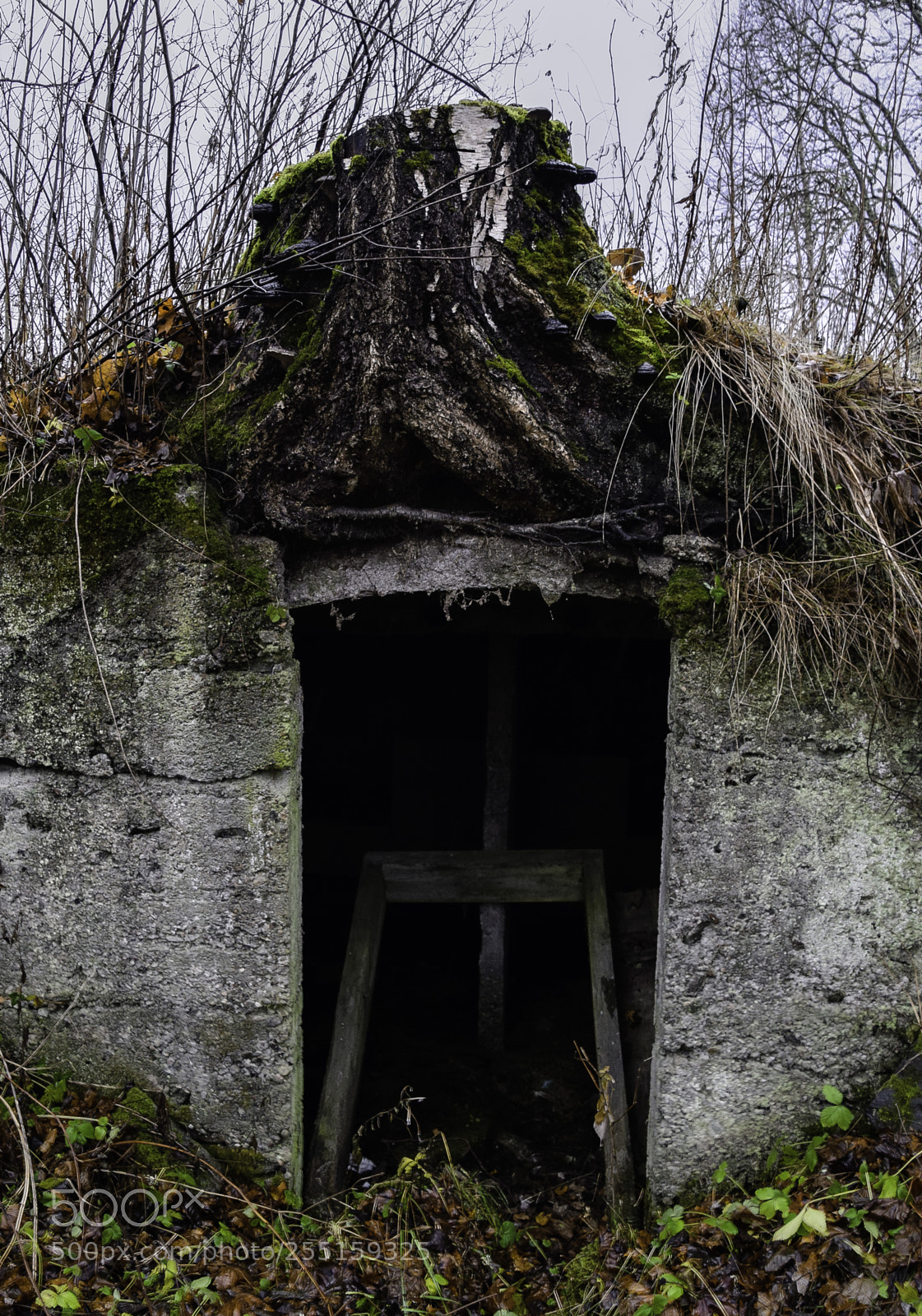 Nikon D5300 sample photo. Abandoneed and junk photography
