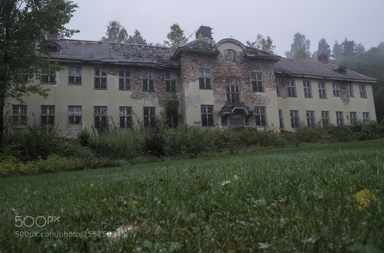 Nikon D5300 sample photo. Abandoneed and junk photography