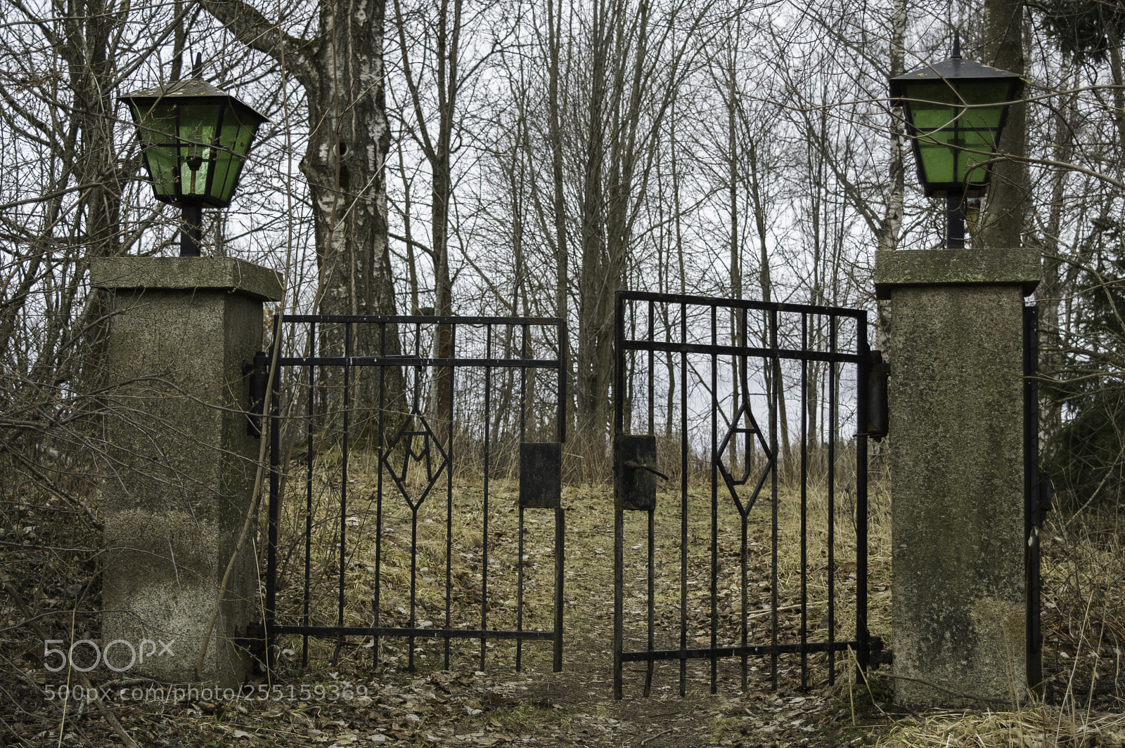 Nikon D5300 sample photo. Abandoneed and junk photography