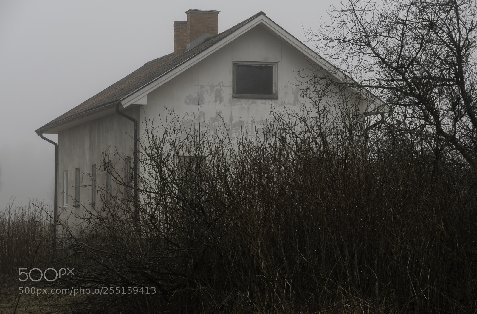 Nikon D5300 sample photo. Abandoneed and junk photography