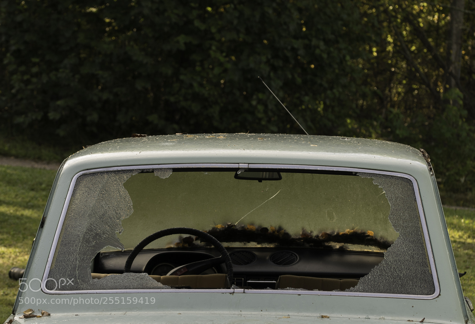 Nikon D5300 sample photo. Abandoneed and junk photography