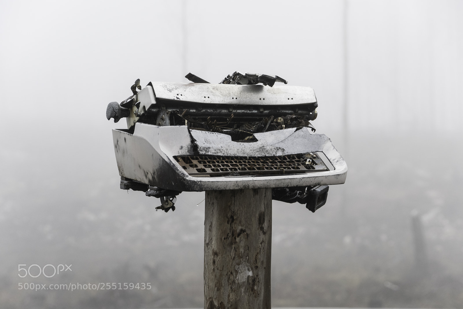 Nikon D5300 sample photo. Abandoneed and junk photography