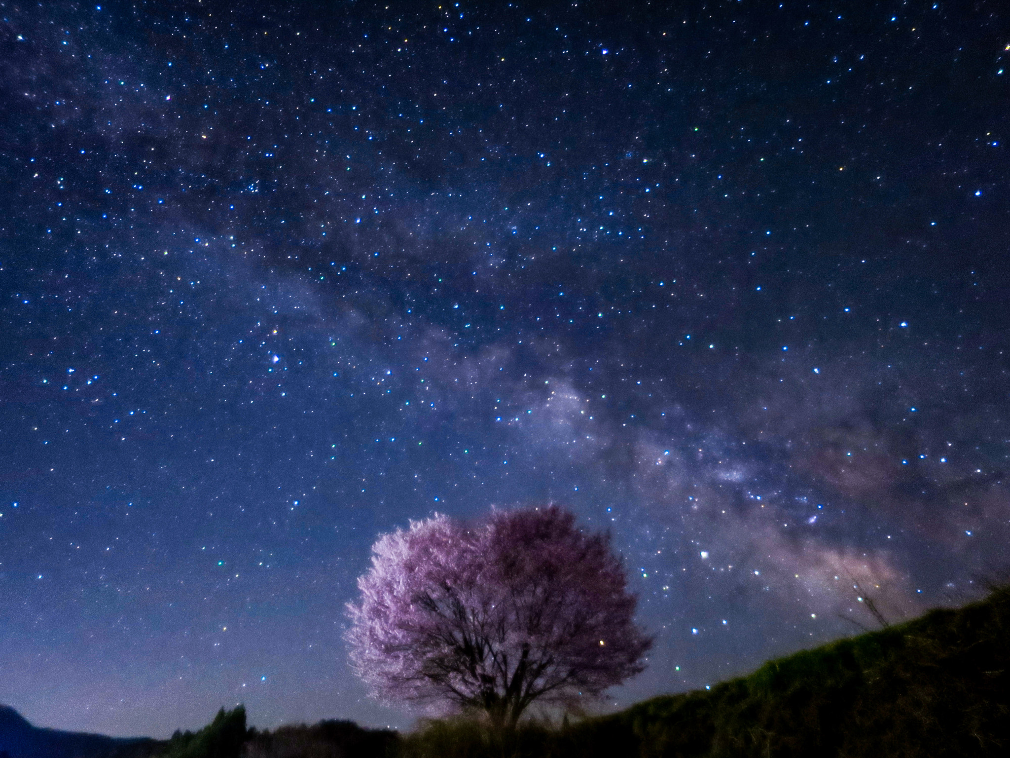 Canon PowerShot S120 sample photo. Single cherry tree in full bloom and milky way photography