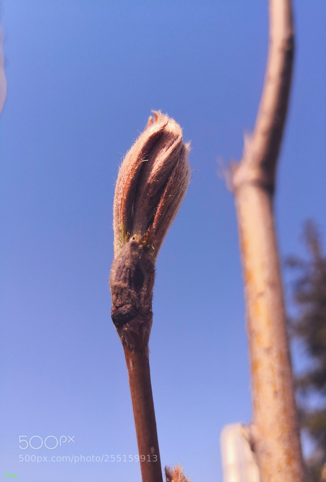HUAWEI Mate 10 sample photo. Untitled photography