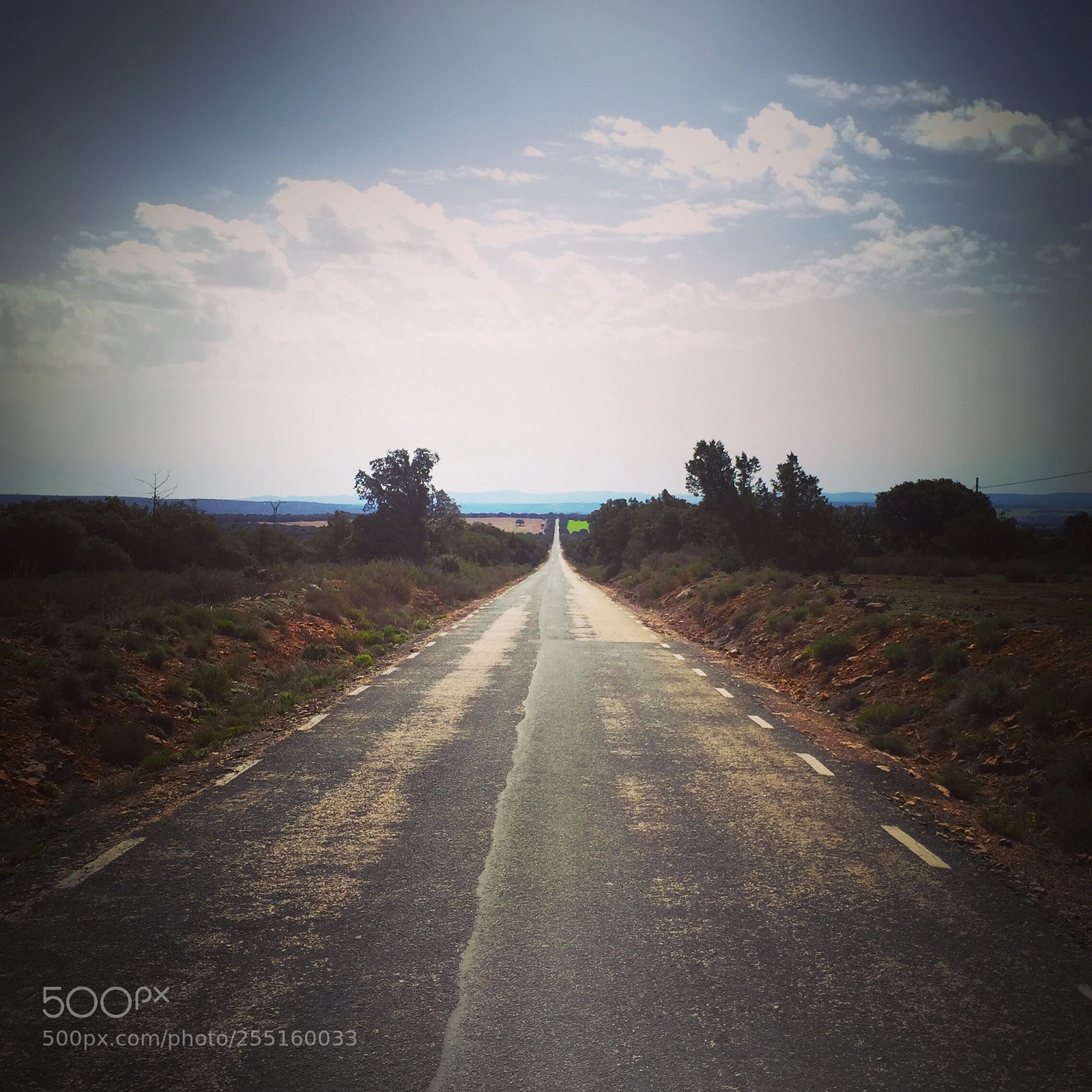 Apple iPhone 6 sample photo. The road photography