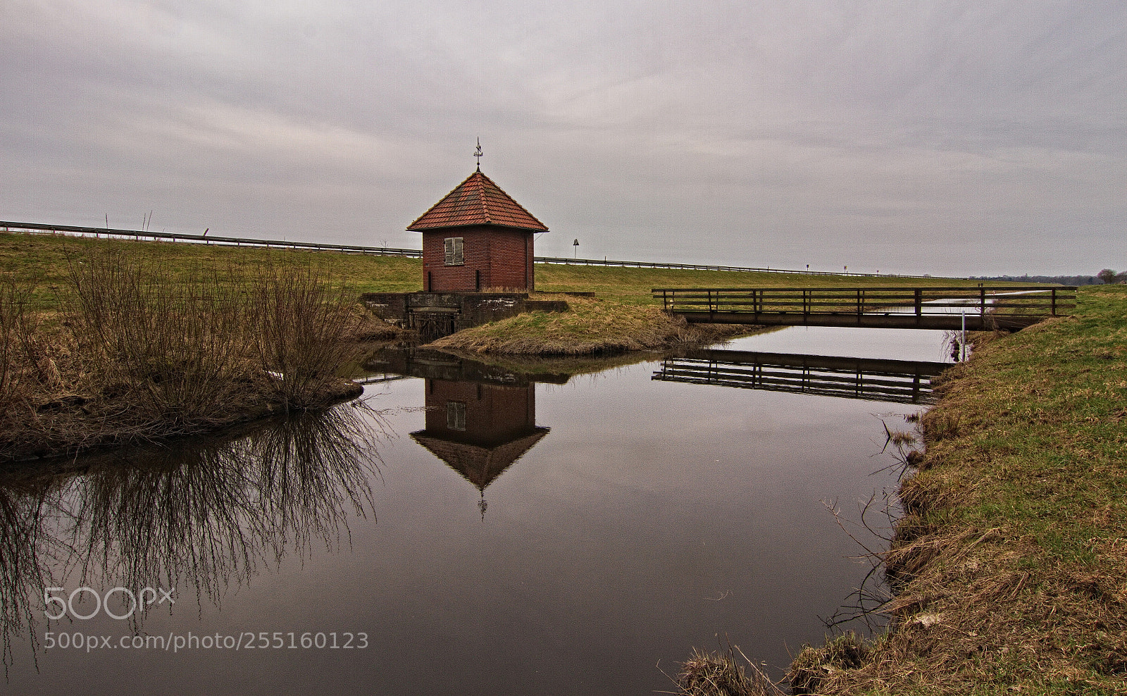 Canon EOS 7D sample photo. Gray weather photography