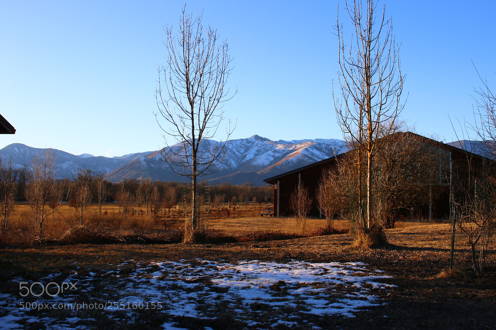 Canon EOS 70D sample photo. Parco photography