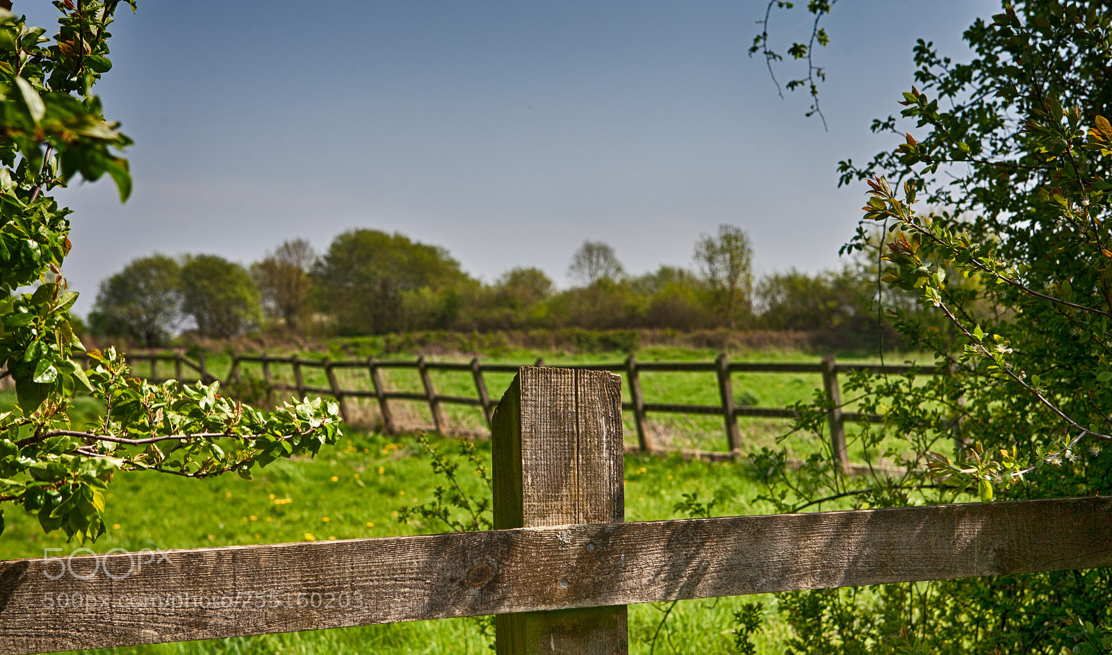 Canon EOS 5D sample photo. Fenced in photography