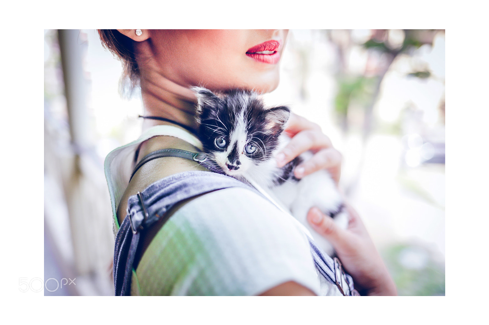 Canon EOS 6D Mark II sample photo. Catgirl photography