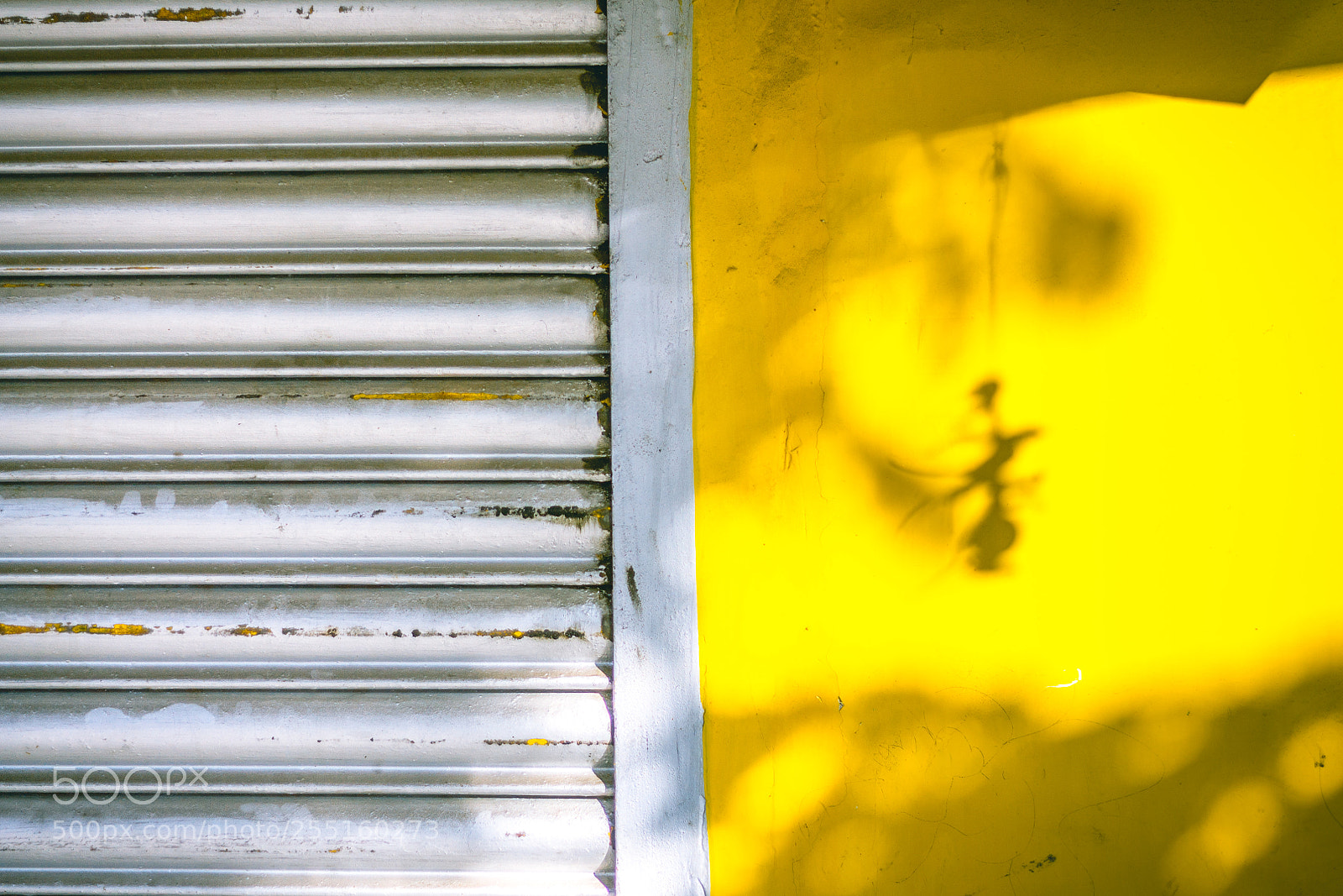 Canon EOS 1100D (EOS Rebel T3 / EOS Kiss X50) sample photo. Superstitious much? photography