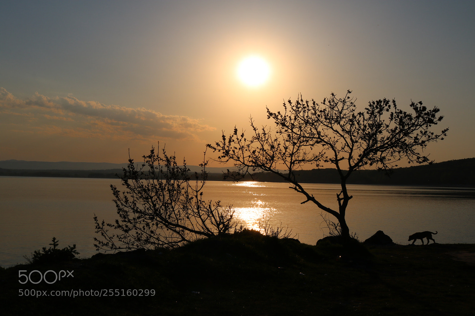 Canon EOS 750D (EOS Rebel T6i / EOS Kiss X8i) sample photo. Sunset in İğneada photography