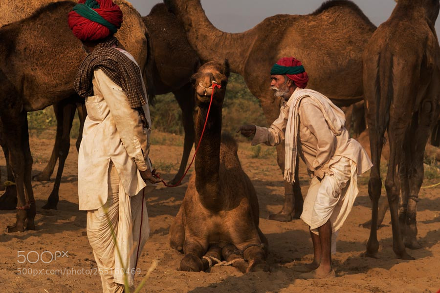 Sony a7 sample photo. Conversations. pushkar mela. rajasthan photography