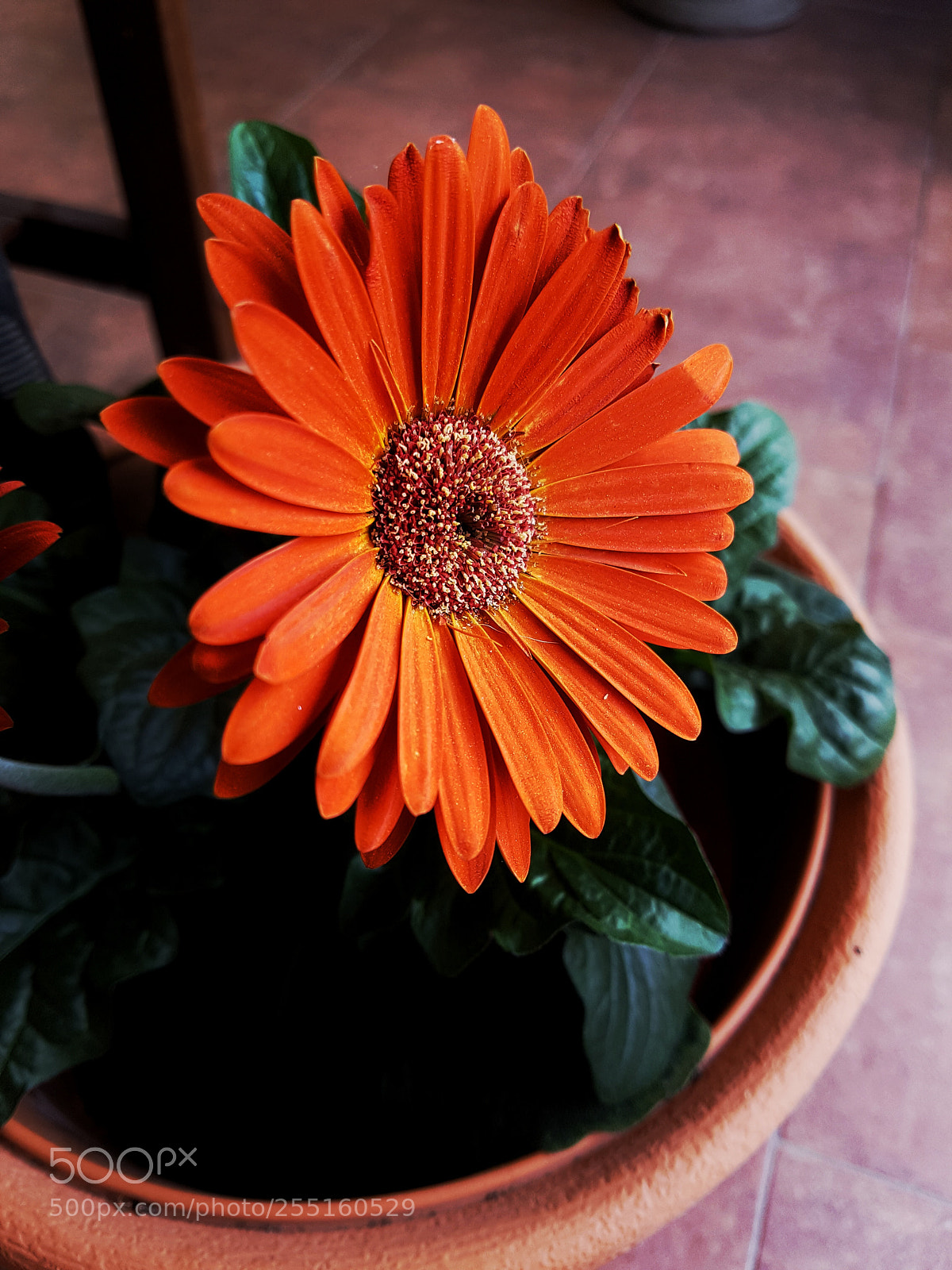 Samsung Galaxy S7 Edge sample photo. Untitled photography