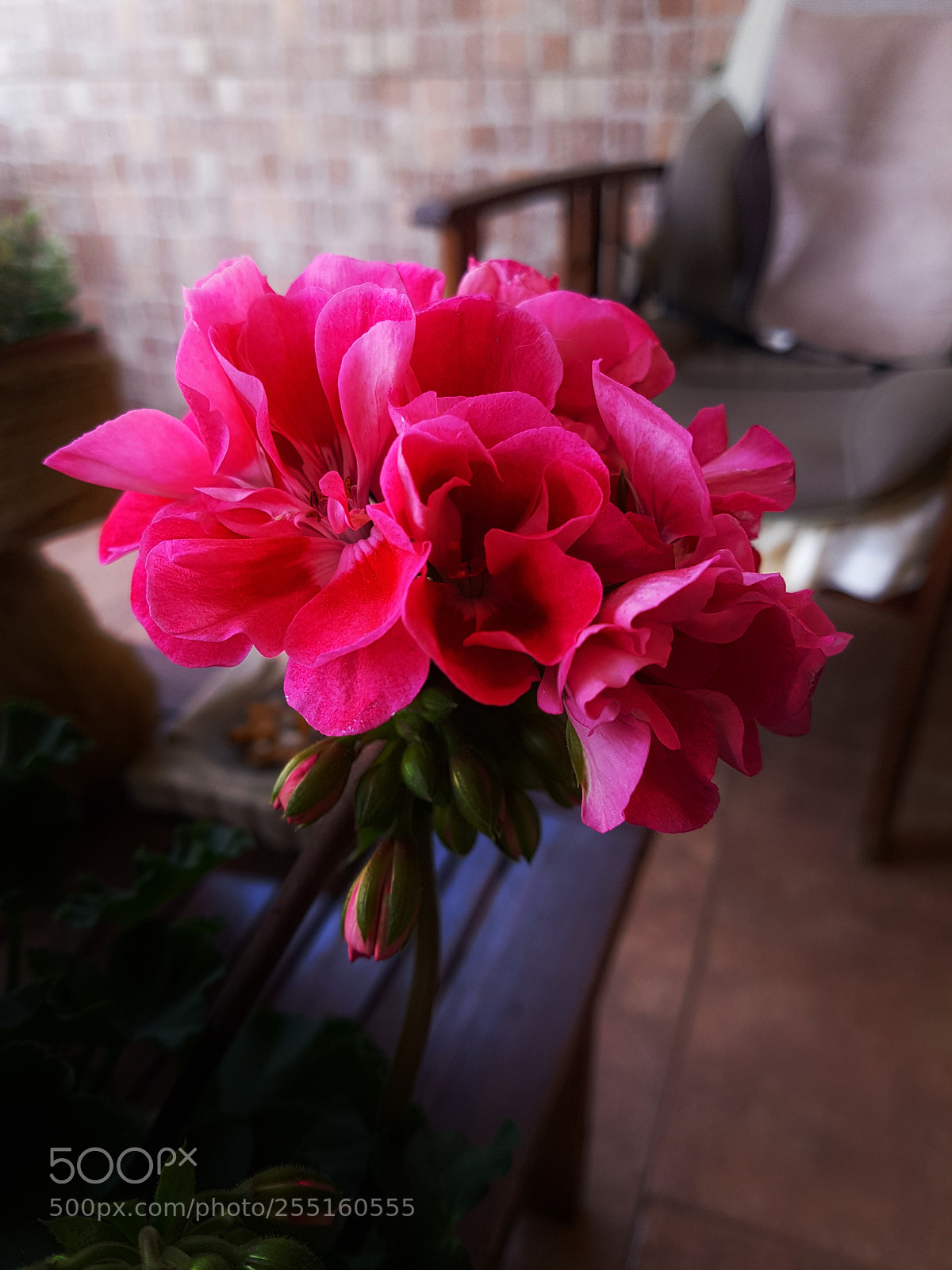 Samsung Galaxy S7 Edge sample photo. Untitled photography