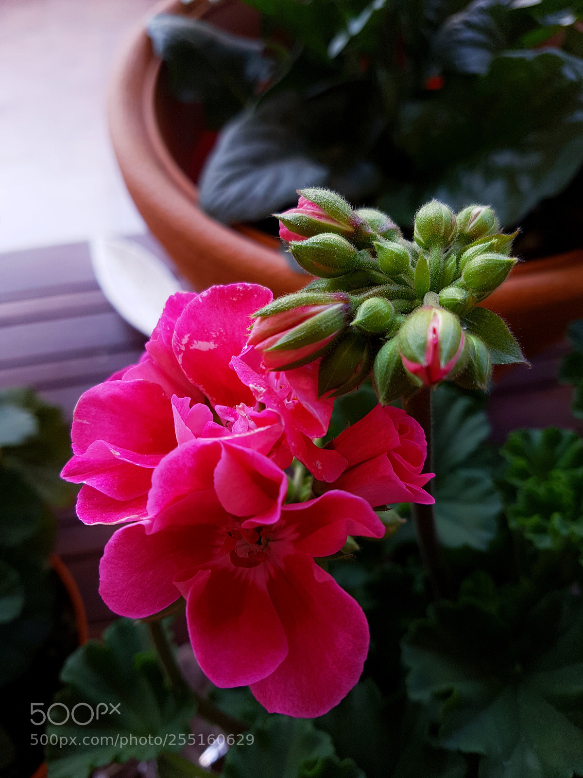Samsung Galaxy S7 Edge sample photo. Untitled photography