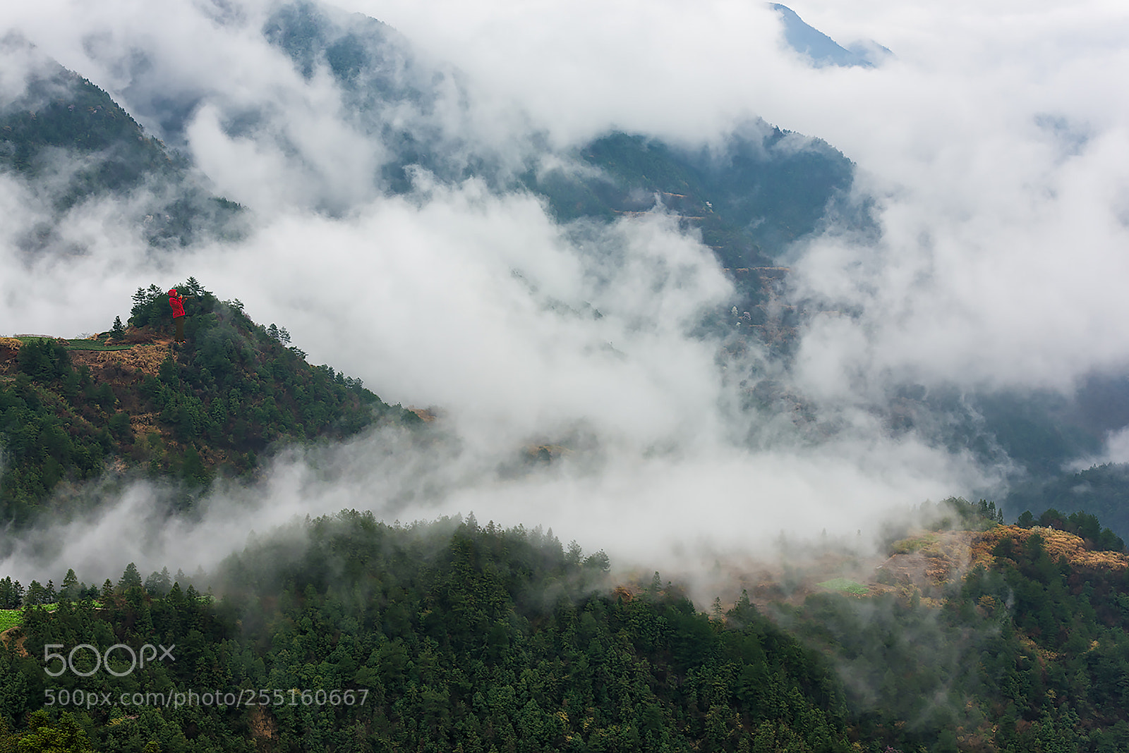 Nikon D810 sample photo. Fog mountain photography