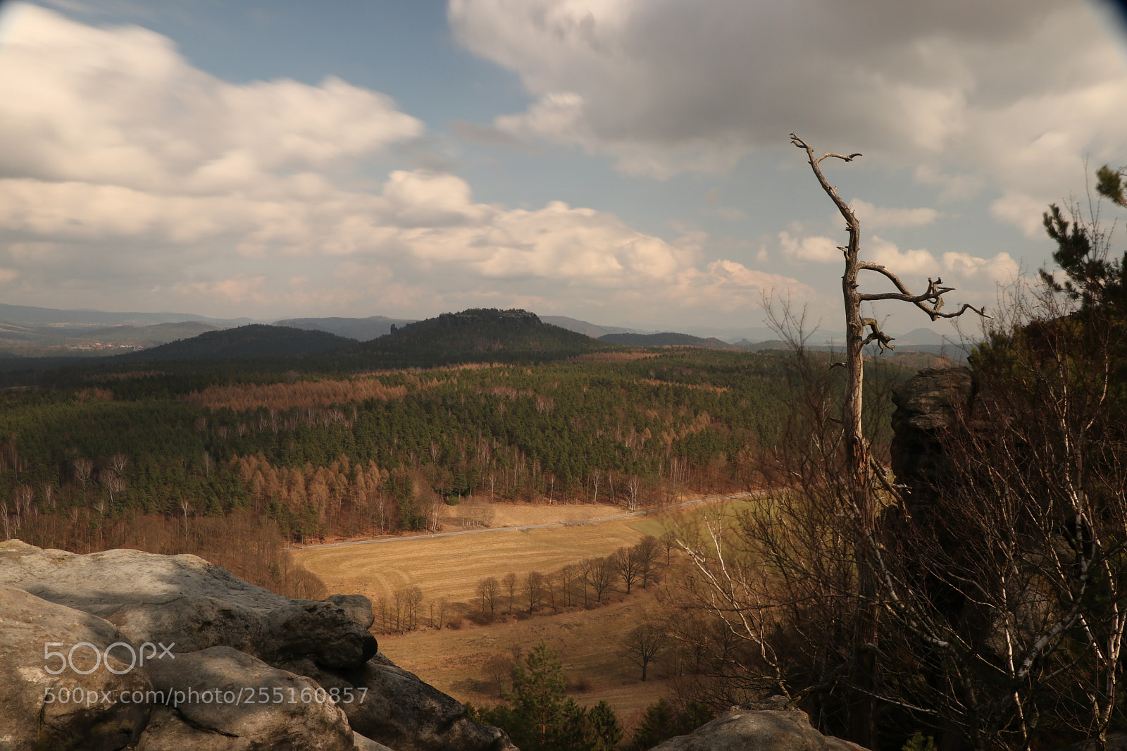 Canon EOS 80D sample photo. Blick vom pfaffenstein photography